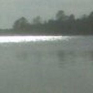 Meet your Posher, Tricia